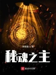 秘魂之主