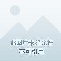 只要把你们全都熬死，我就能无敌