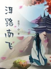 洱路南飞