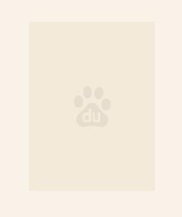 九位未婚妻找上门，前妻悔哭了